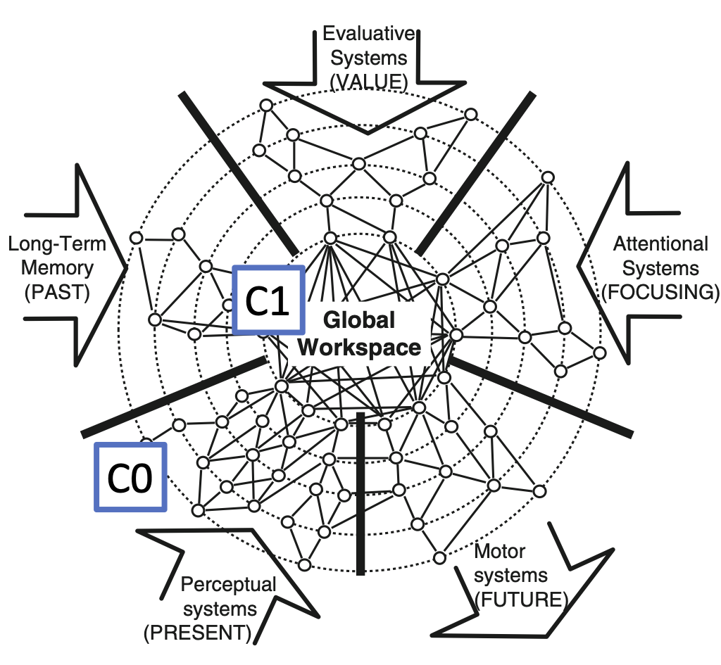 The global neural workspace model (GNW)